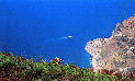 003 Palmi - Vista dal monte Elia.GIF