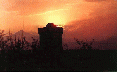 004 Villapiana - Torre di guardia Saracena.GIF