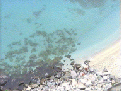 010 el agua del mar3.gif