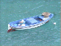 010 el barco.gif