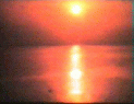 022.GIF