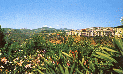 028 Catanzaro - Viadotto sulla Fiumarella.GIF