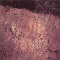 037 Papasidero - Disegno preistorico Bovide.GIF