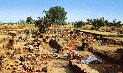 054 Locri - Rovine Locri greca.GIF
