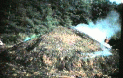 078.GIF