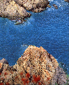 080 Squillace.GIF