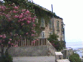 100 edificio2.gif