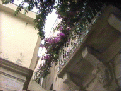 100 edificio3.gif