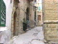 100 vinea1.gif
