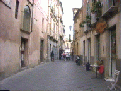 100 vinea2.gif