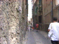 100 vinea3.gif