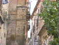 100 vinea4.gif